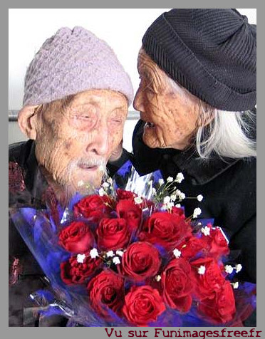 amour saint valentin st valentin images photos fun images 14 fevrier